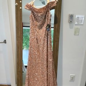 New with tag Adrianna Papell pink gold gown size 6